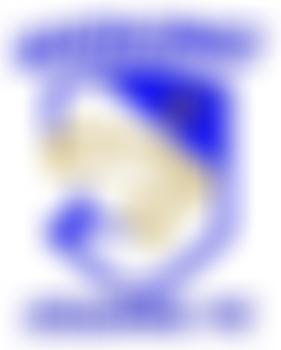 Woking Cougars Football Club | Charici