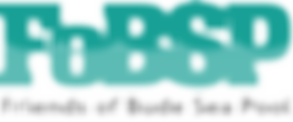 Friends Of Bude Sea Pool | Charici