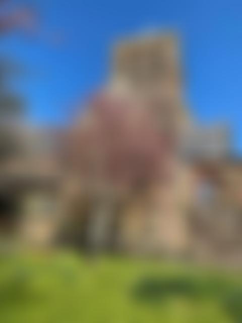 The Parochial Church Council Of The Ecclesiastical Parish Of St Bees | Charici