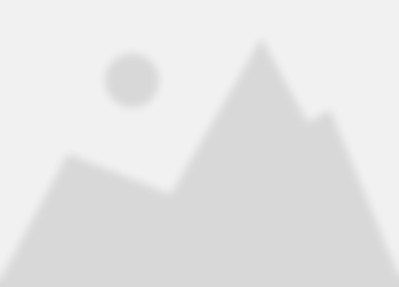 Tullie House Museum And Art Gallery Trust | Charici