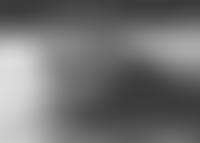 Prospect Ferret Rescue | Charici