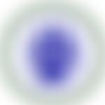 The Kit Wilson Trust For Animal Welfare | Charici