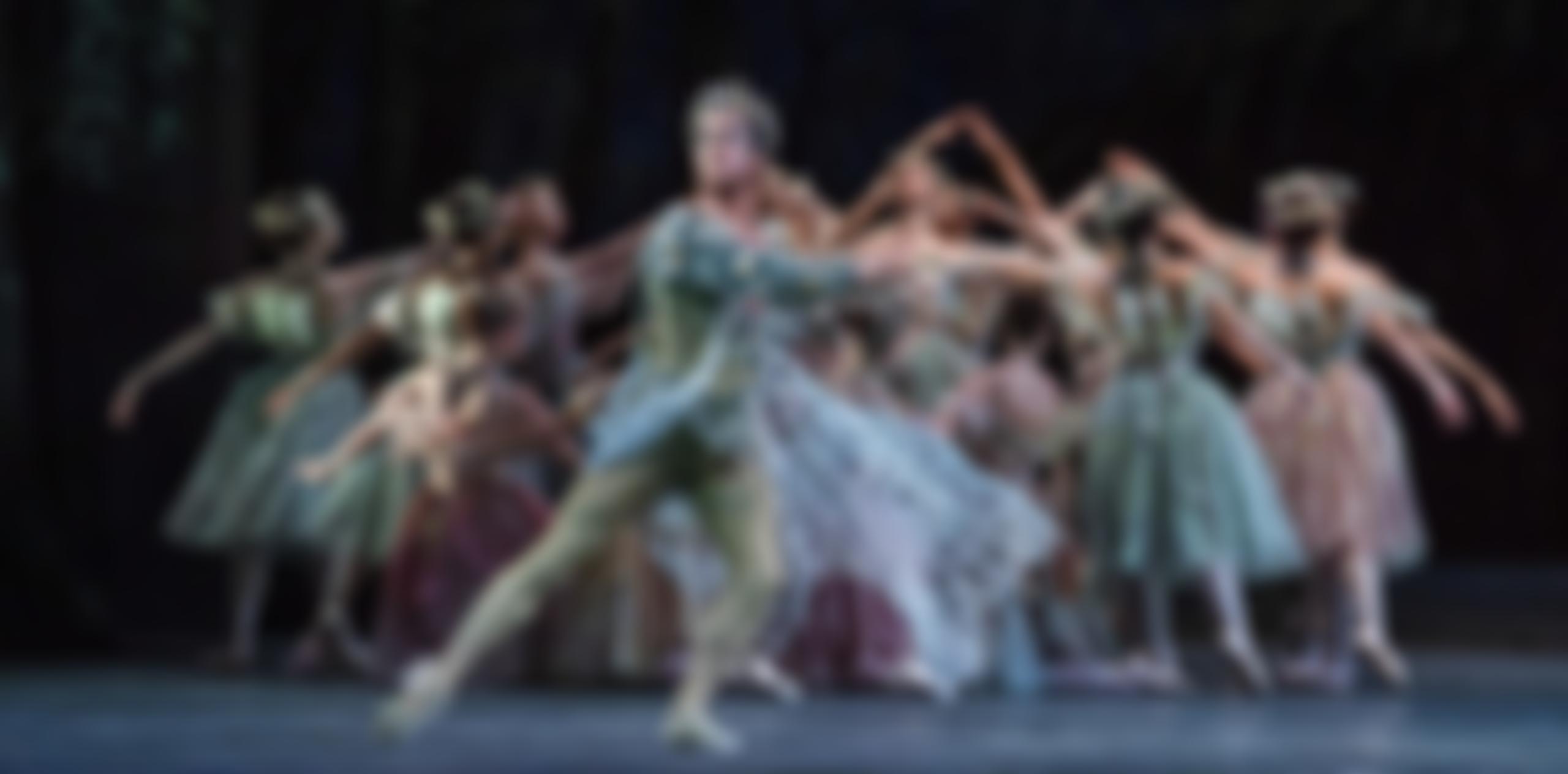 The Frederick Ashton Foundation | Charici