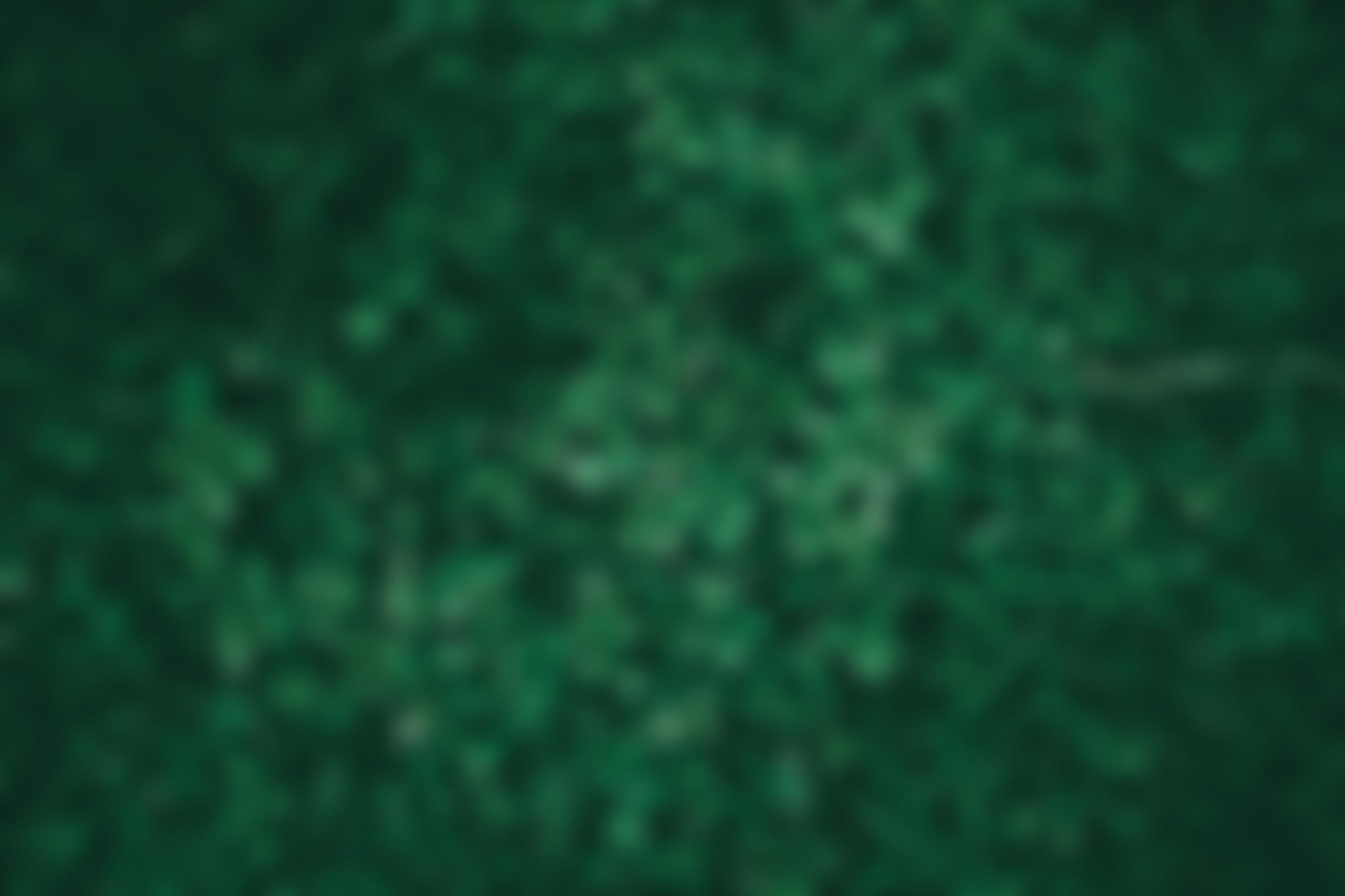 Cloverleaf Christian Centre | Charici