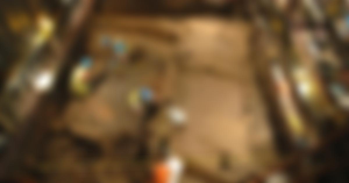 Museum Of London Archaeology | Charici