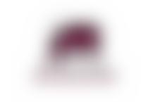 The Pygmy Hippo Foundation | Charici