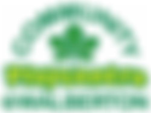 Community Playcentre @ Walberton | Charici