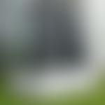 The Public Arts Trust, Milton Keynes Limited | Charici