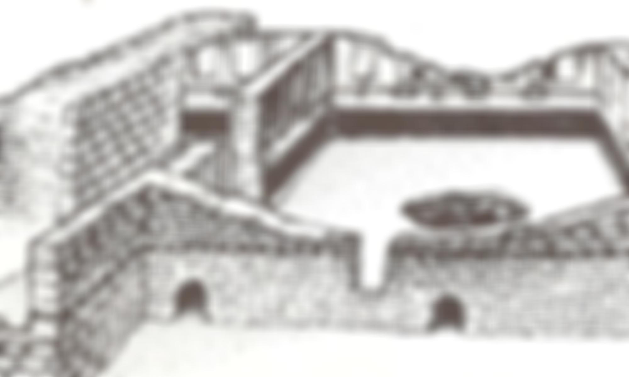 The Dover Roman Painted House Trust | Charici