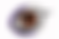 The Constance Fairness Foundation | Charici