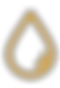 Rural Development Foundation Global Ltd | Charici