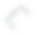 Women Living Under Muslim Laws - International Solidarity Network (Wluml) | Charici