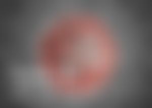 The Parochial Church Council Of The Ecclesiastical Parish Of Holy Trinity, Waterhead | Charici