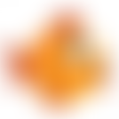 Families Of Ocean Ward | Charici