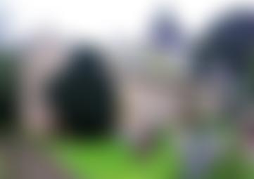 Easingwold & Raskelf Parochial Church Council | Charici