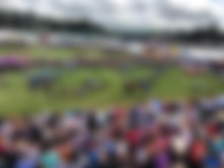 Wales Federation Of Young Farmers Clubs | Charici