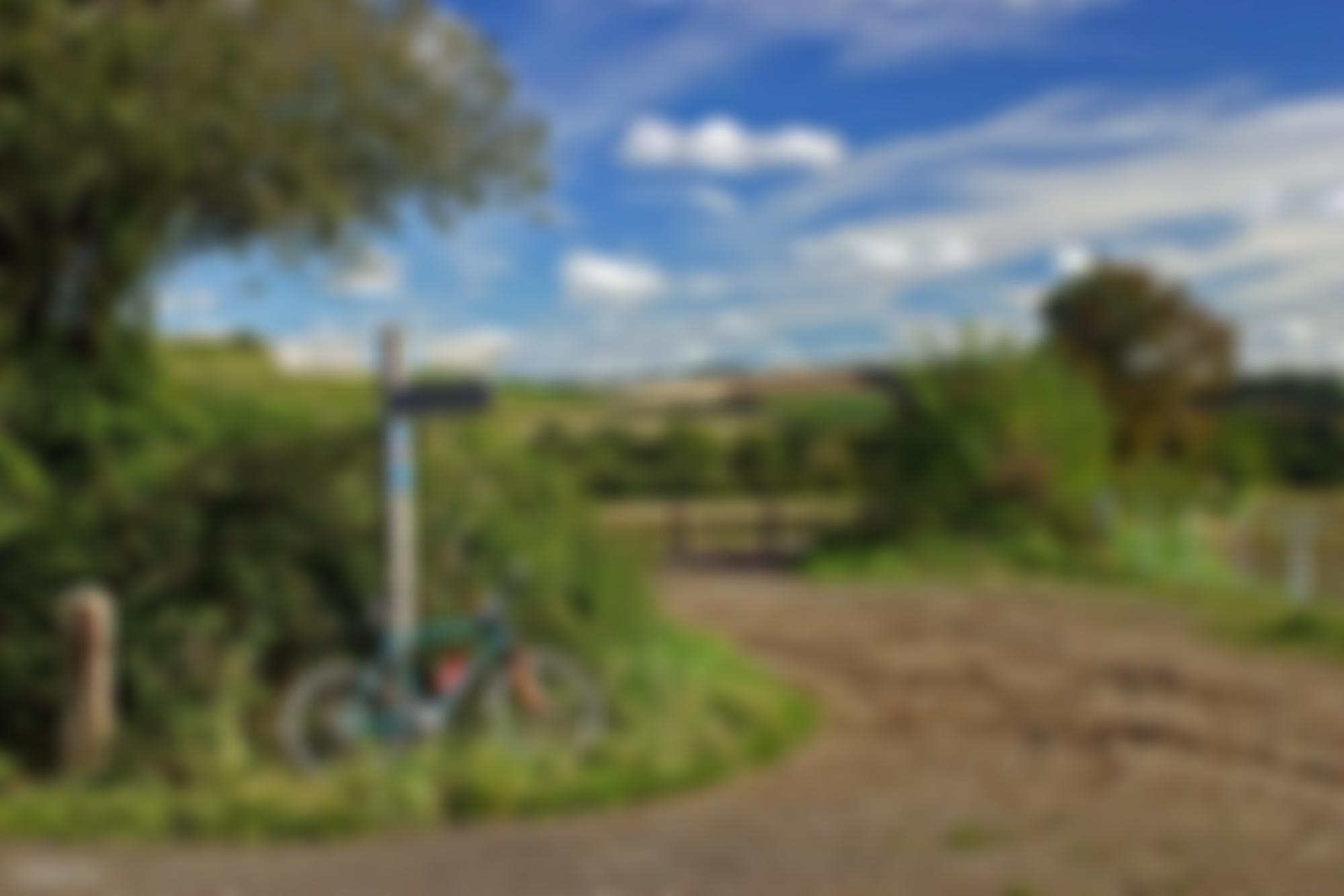 North Dorset Trailway Network | Charici