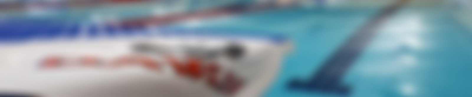 Dawlish Swimming & Life Saving Association | Charici