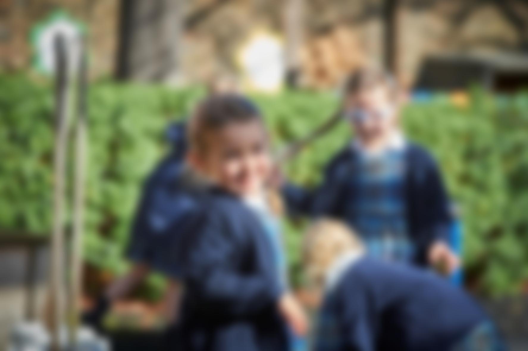 The Study (Wimbledon) Limited | Charici