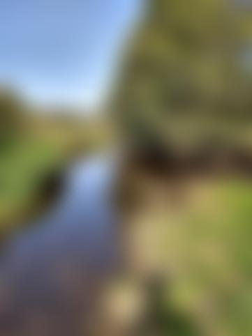 The Aire Rivers Trust | Charici