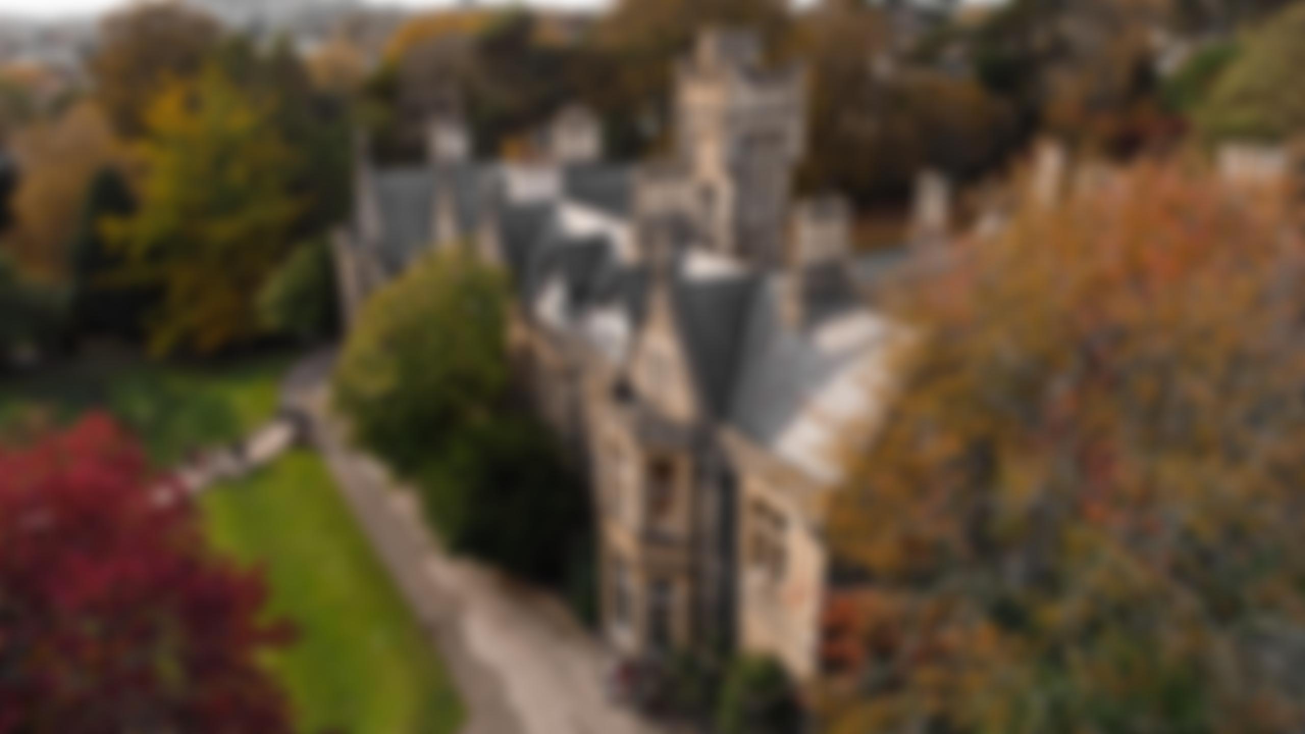 Insole Court Trust/Ymddiriedolaeth Cwrt Insole | Charici