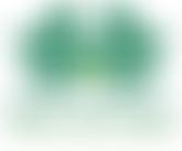 Water Lily Project | Charici