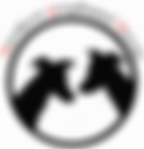 Northern Greyhound Rescue | Charici
