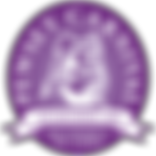 The Pewsey And District Feast And Carnival | Charici