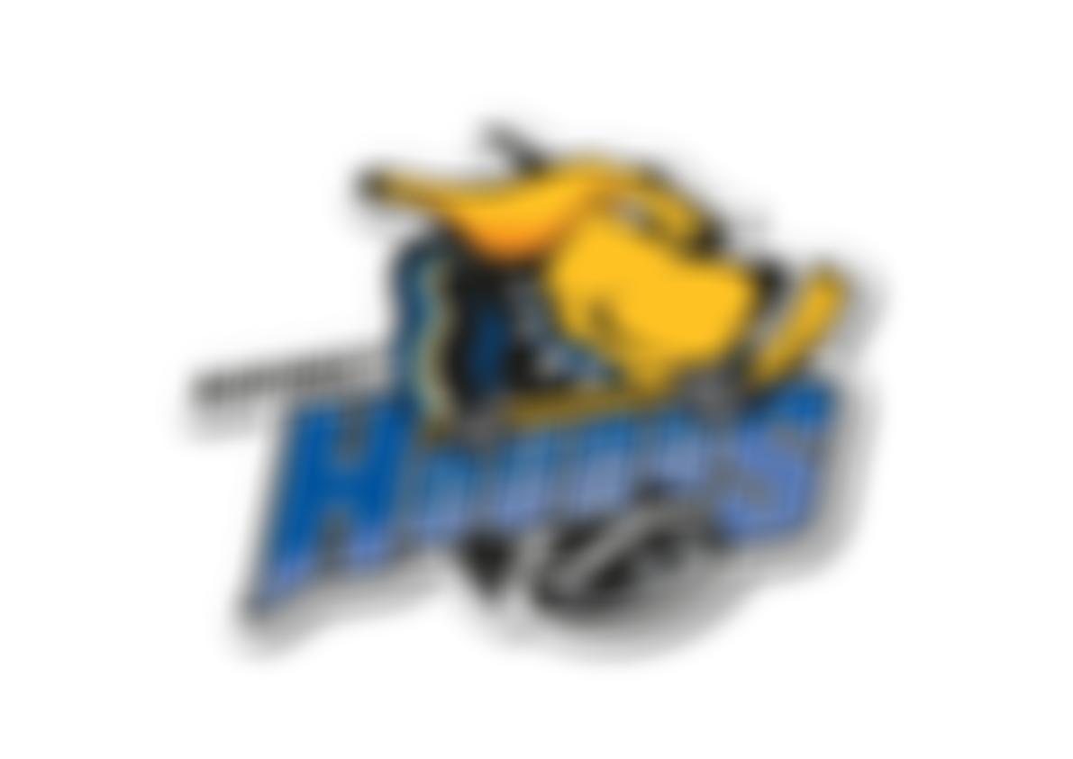 Haringey Junior Ice Hockey Club | Charici