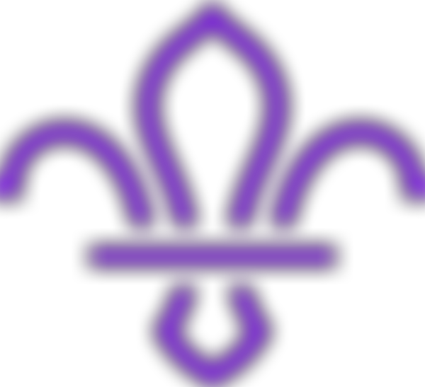Wandsworth District Scout Council | Charici