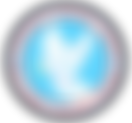 The Victorious Foundation Ngo | Charici