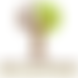 Kwes Kent Woodland Employment Scheme | Charici