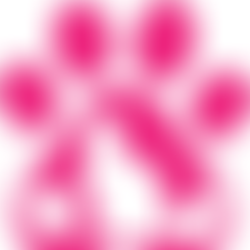 Lincs Ark (Animal Welfare) | Charici