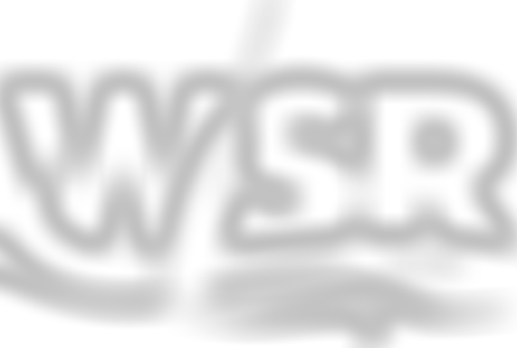 Wargrave And Shiplake Regatta | Charici