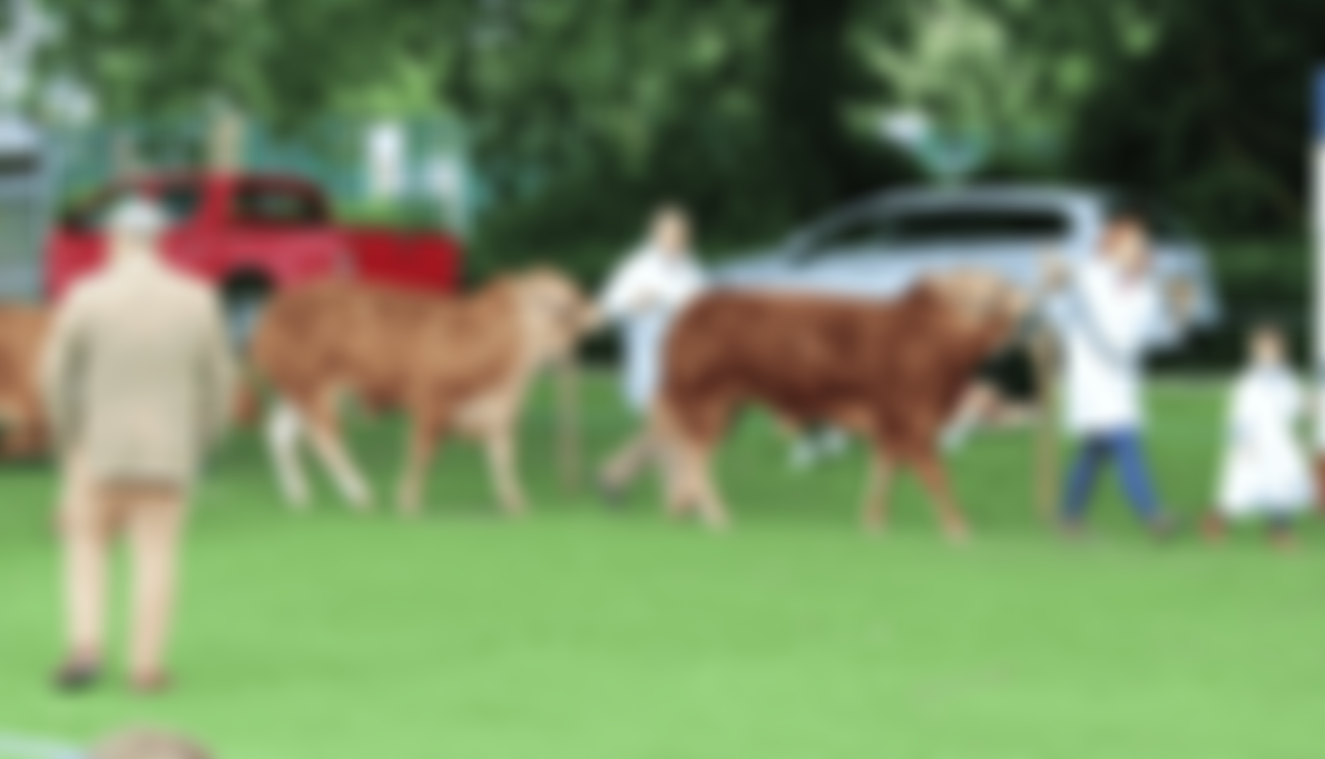 Howden Agriculture And Horticulture Show Limited | Charici