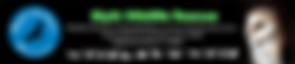 Blyth Wildlife Rescue | Charici