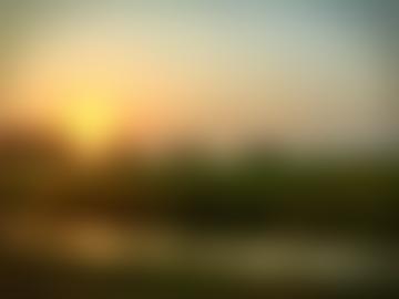 Rojiroti UK | Charici