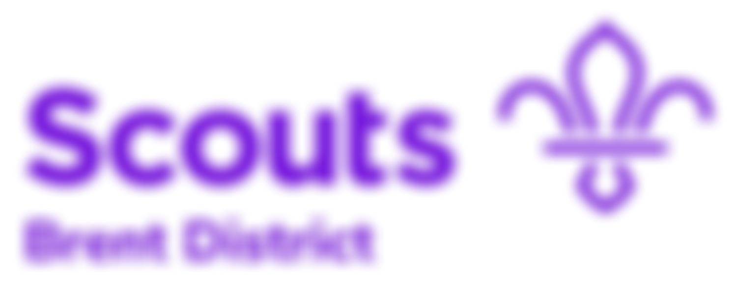 Brent District Scout Council | Charici