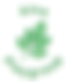 Alne Pre-School Playgroup | Charici