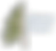 Libanus Evangelical Church | Charici