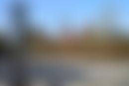 Poynton U3A | Charici