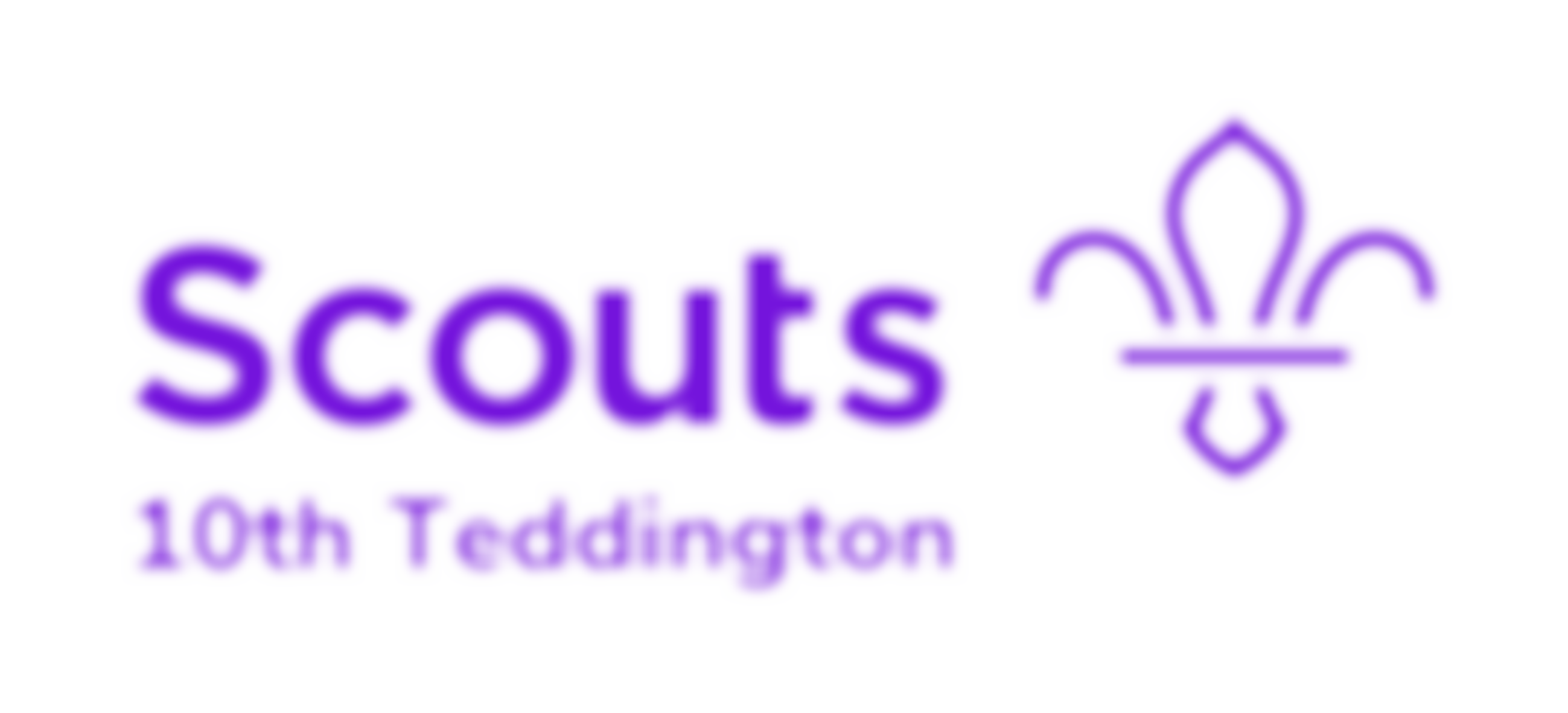 10Th Teddington Scout Group | Charici