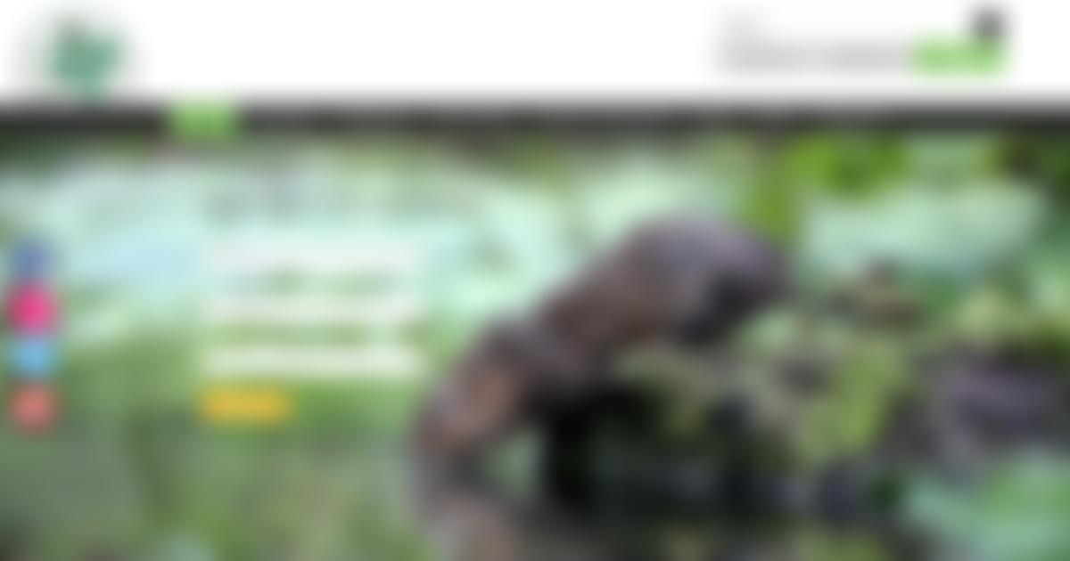 Manhood Wildlife And Heritage | Charici