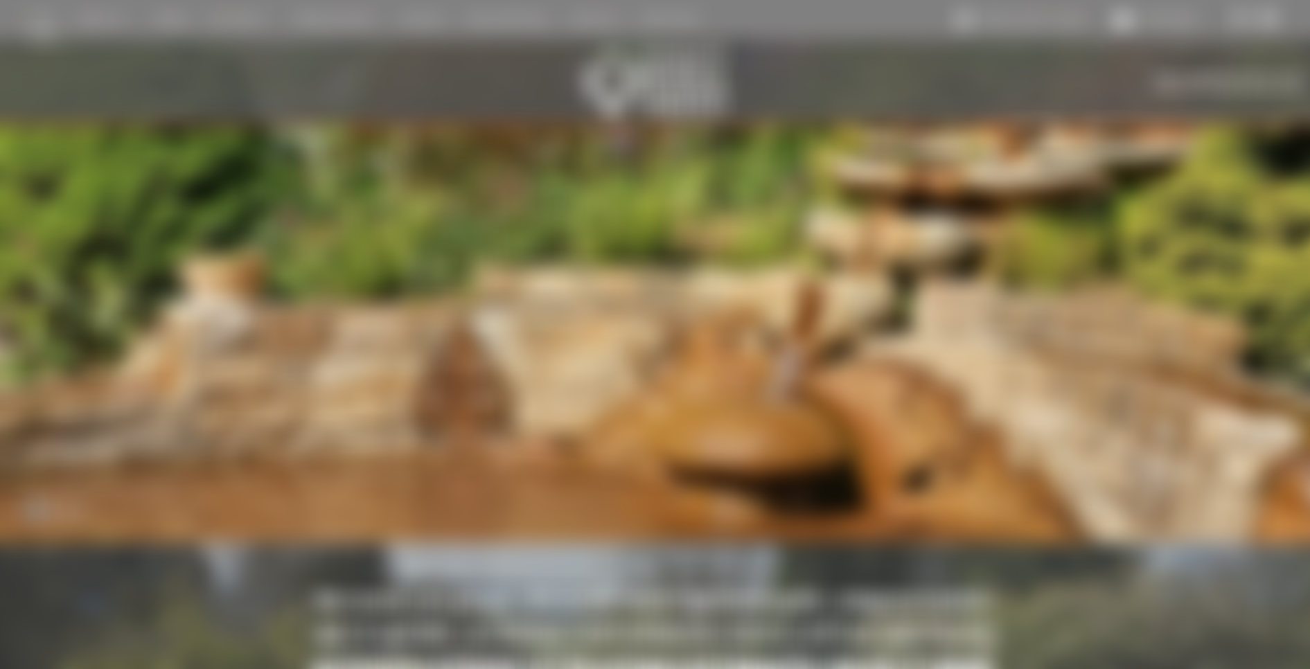 The Chalice Well Trust | Charici