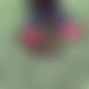 Cowling Preschool And Toddlers Limited | Charici