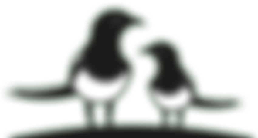 Pennine Magpie | Charici