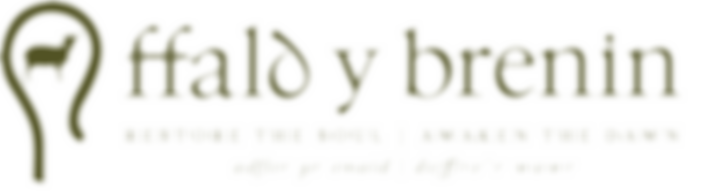 The Ffald-Y-Brenin Trust Limited | Charici