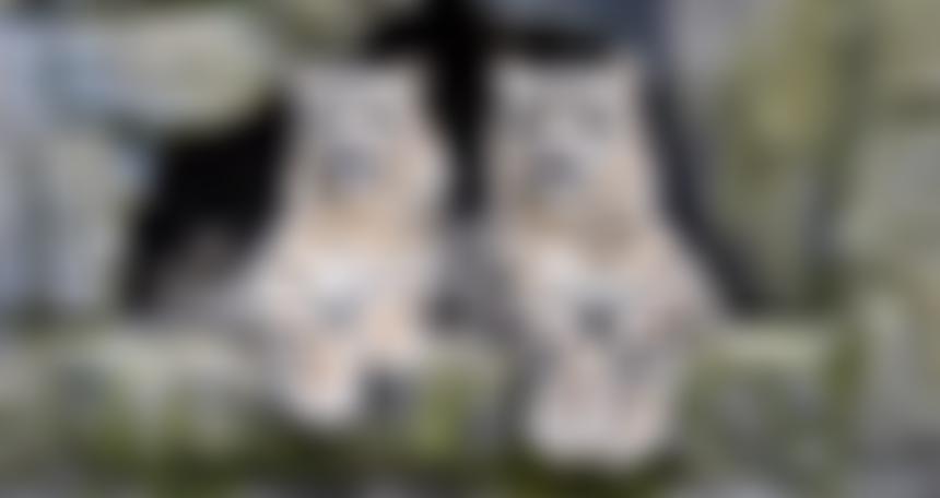 The Lakeland Trust For Natural Sciences Limited | Charici