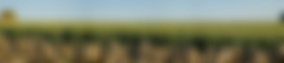 Gloucestershire County Proficiency Tests Committee For Agriculture And Horticulture | Charici