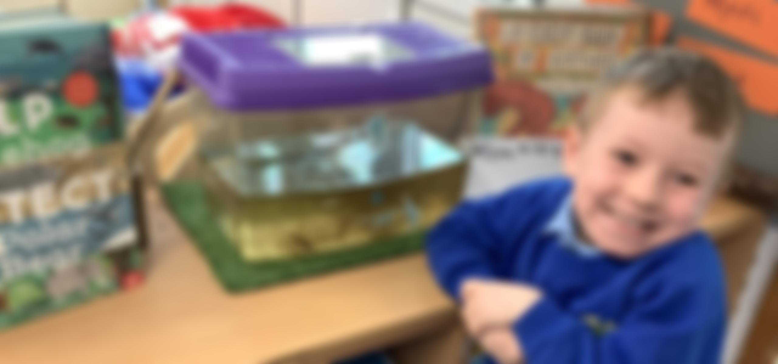 Meadow School Parent Teacher Association | Charici